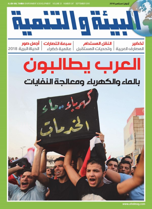 Greening Arab banks