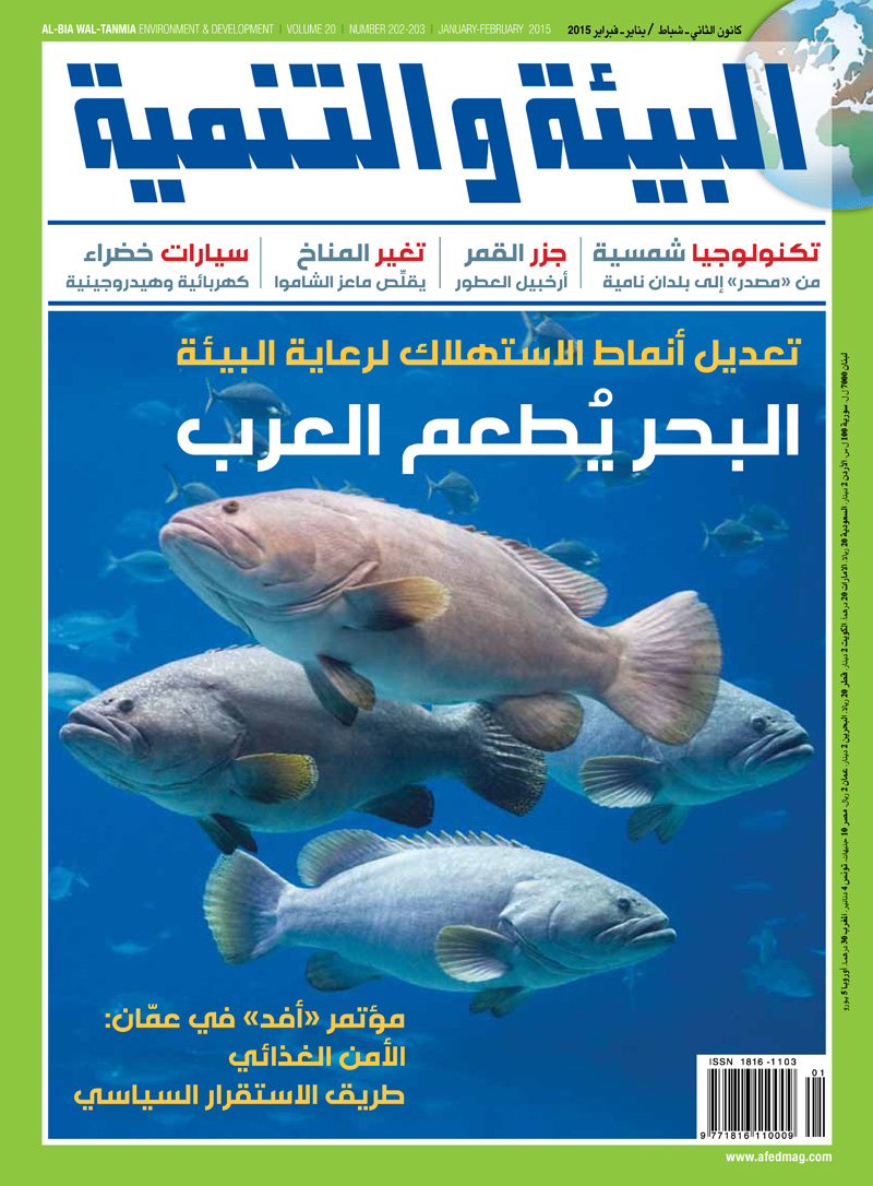 رعاية البيئة بتعديل أنماط الاستهلاك