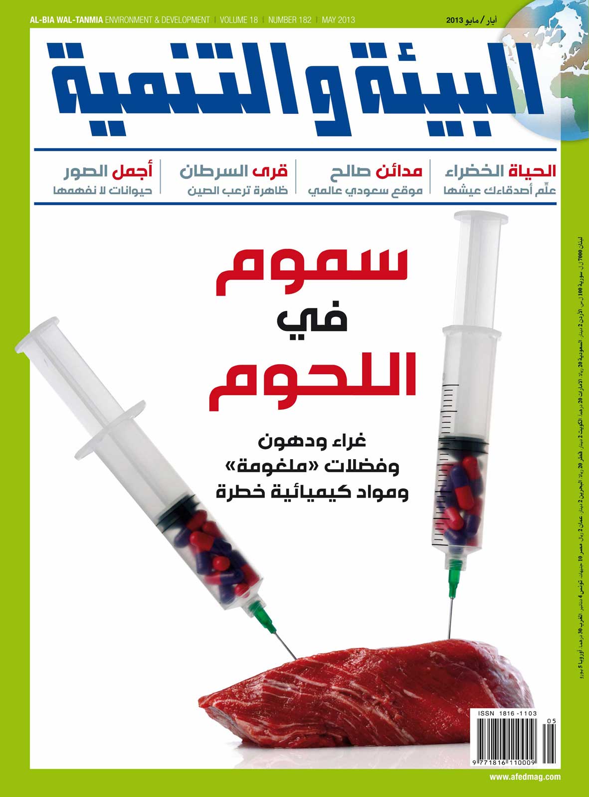 هل الطاقة النووية خيار للعرب؟