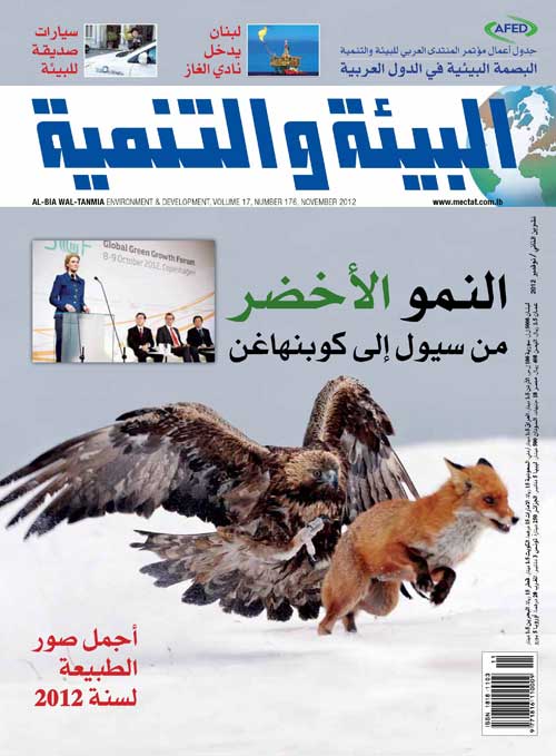المغرب في عين الشمس