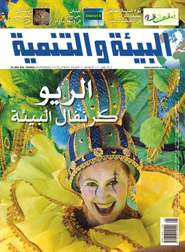 Environment Carnival