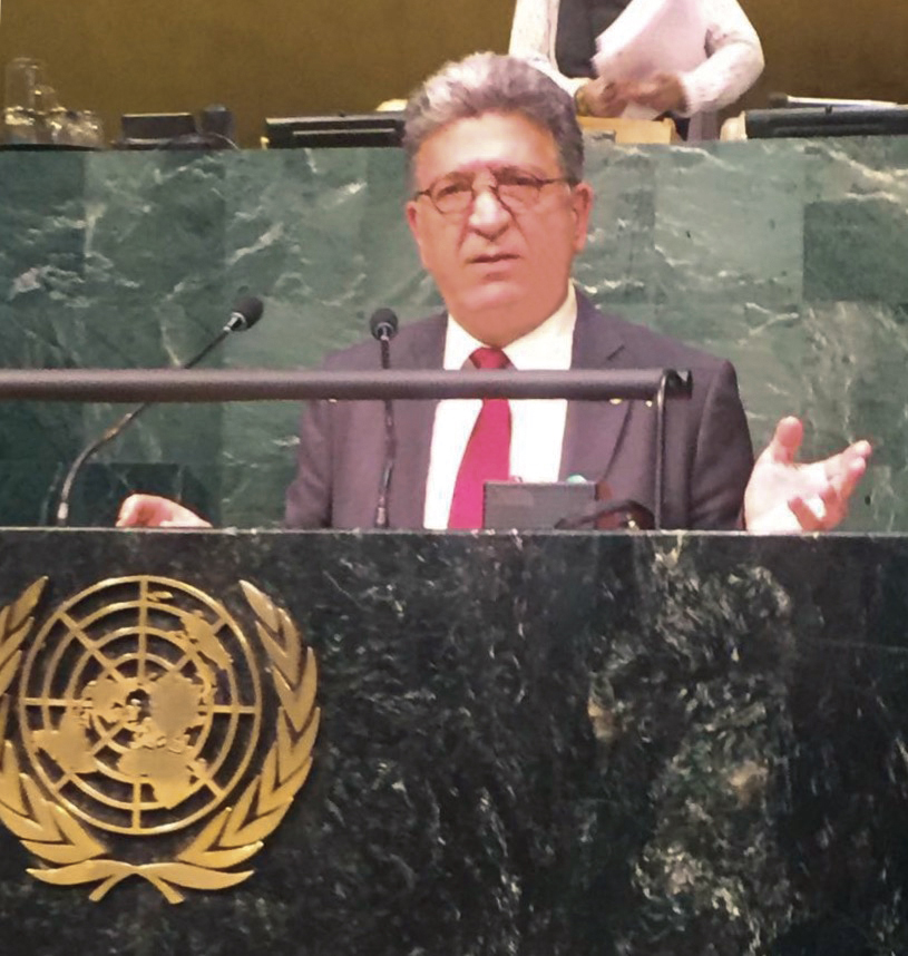 AFED Secretary General at UN General Assembly