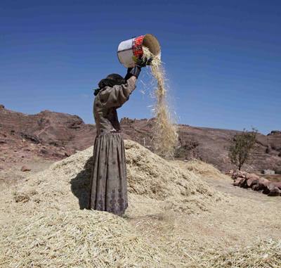 Arab world among most vulnerable to climate change